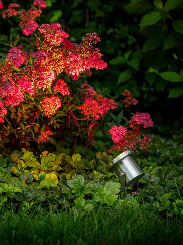 Spotstrahler Arigo bei Nacht Spotstrahler Arigo beleuchtet bei Nacht Blumen in Garten