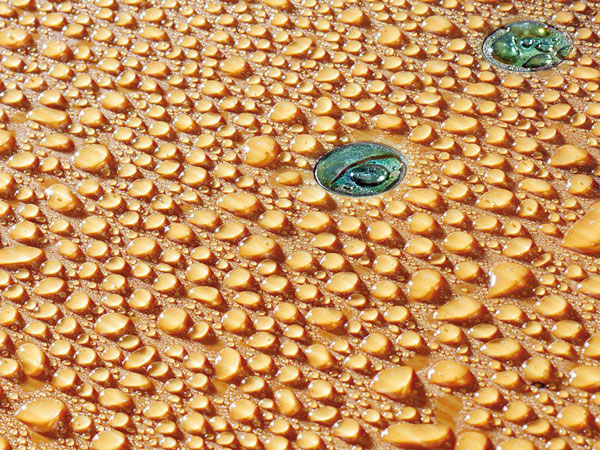 Bierzeltgarnitur-uv-lasur5a6eef291233c