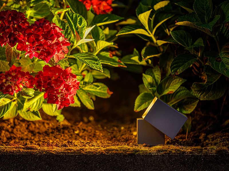 Spotstrahler Nano bei Nacht Spotstrahler Nano bei Nacht in Garten leuchtet auf eine Bluete