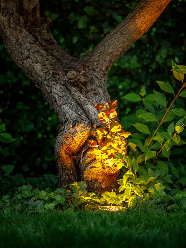 Einbau-Beleuchtung Rubum Einbauleuchte Rubum beleuchtet nachts einen Baum