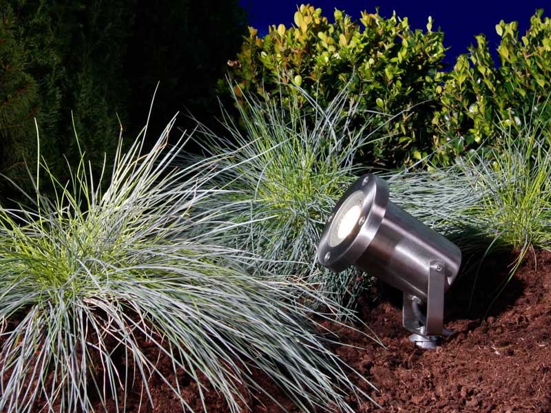 Spotstrahler Protego im Garten bei Nacht zwischen Ziergraeser