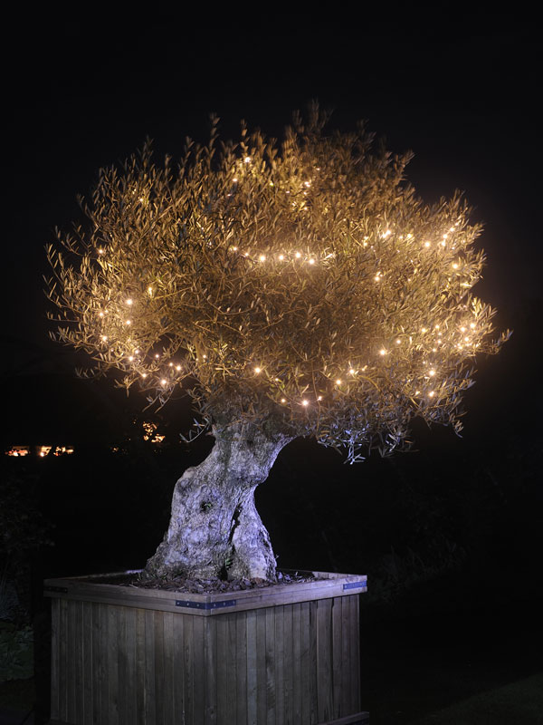 linea-3 Lichterkette 'Linea' von Garden-Lights (Art.Nr. 7510012)